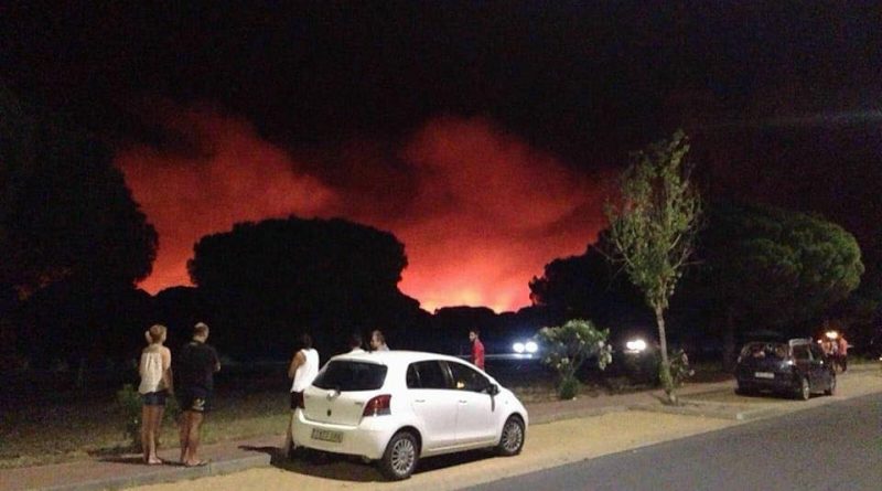 Imágenes del incendio originado en Moguer (Huelva) y que afecta al Parque Natural de Doñana./ Facebook Ayuntamiento de Moguer.