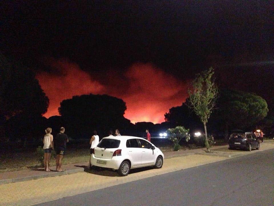 Imágenes del incendio originado en Moguer (Huelva) y que afecta al Parque Natural de Doñana./ Facebook Ayuntamiento de Moguer.