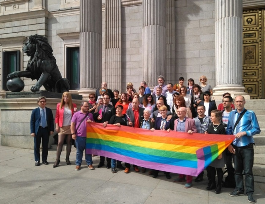 Colectivos y grupos políticos posan tras el registro de la Ley de Igualad LGTBI./ FLGTBI