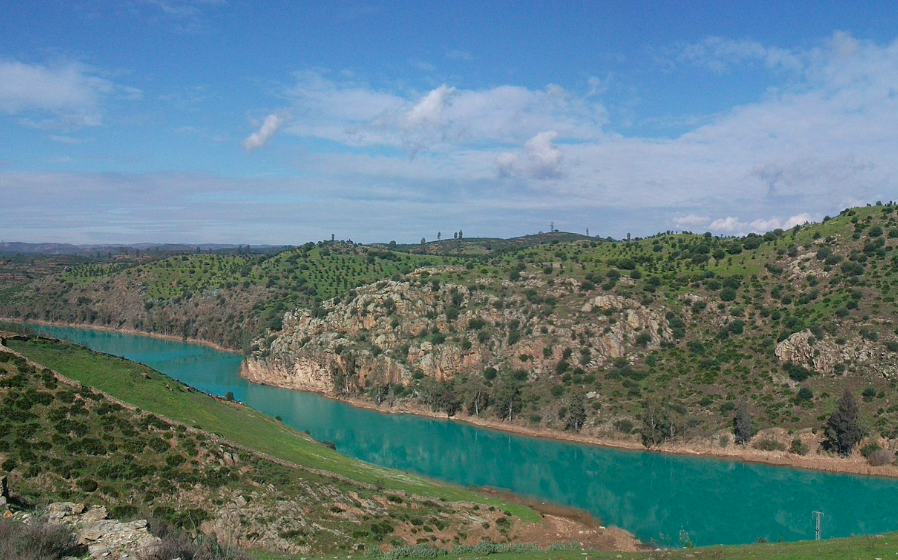 Aznalcóllar